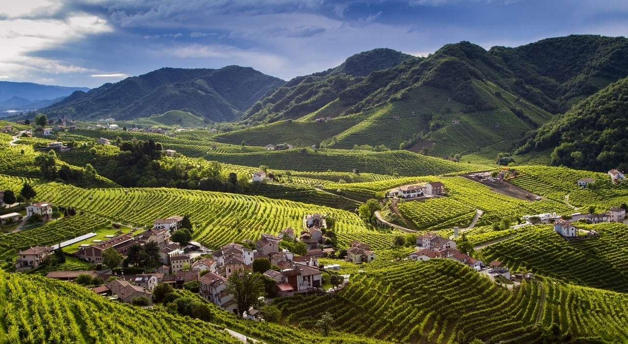 Prosecco